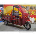 Tricycle électrique de Shed Professional Easy Shed